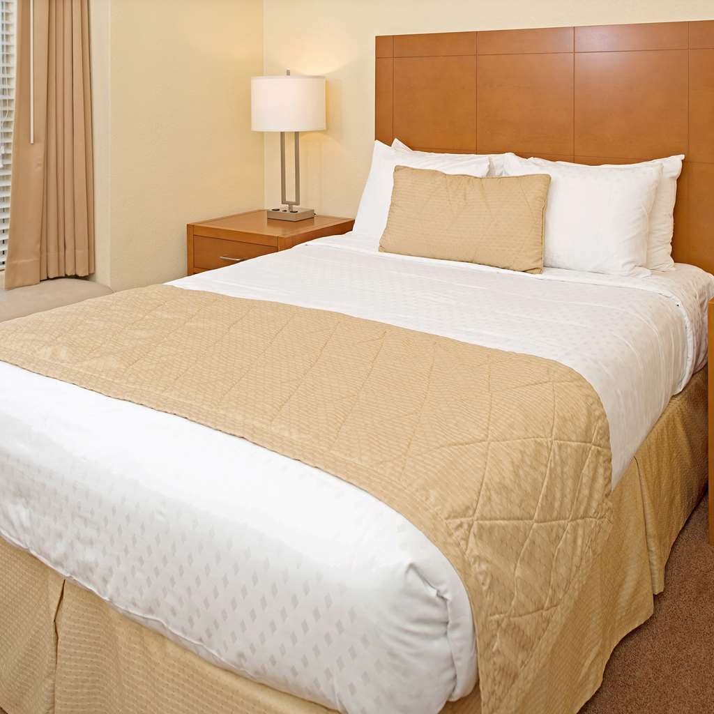 Desert Paradise Resort 3*